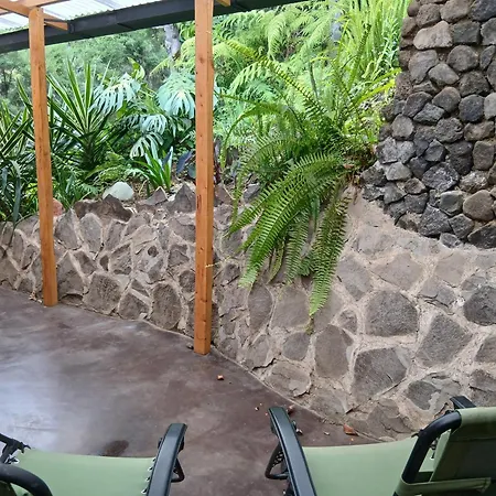 Bosco Antigua - Cabins And Spa In The Woods-2